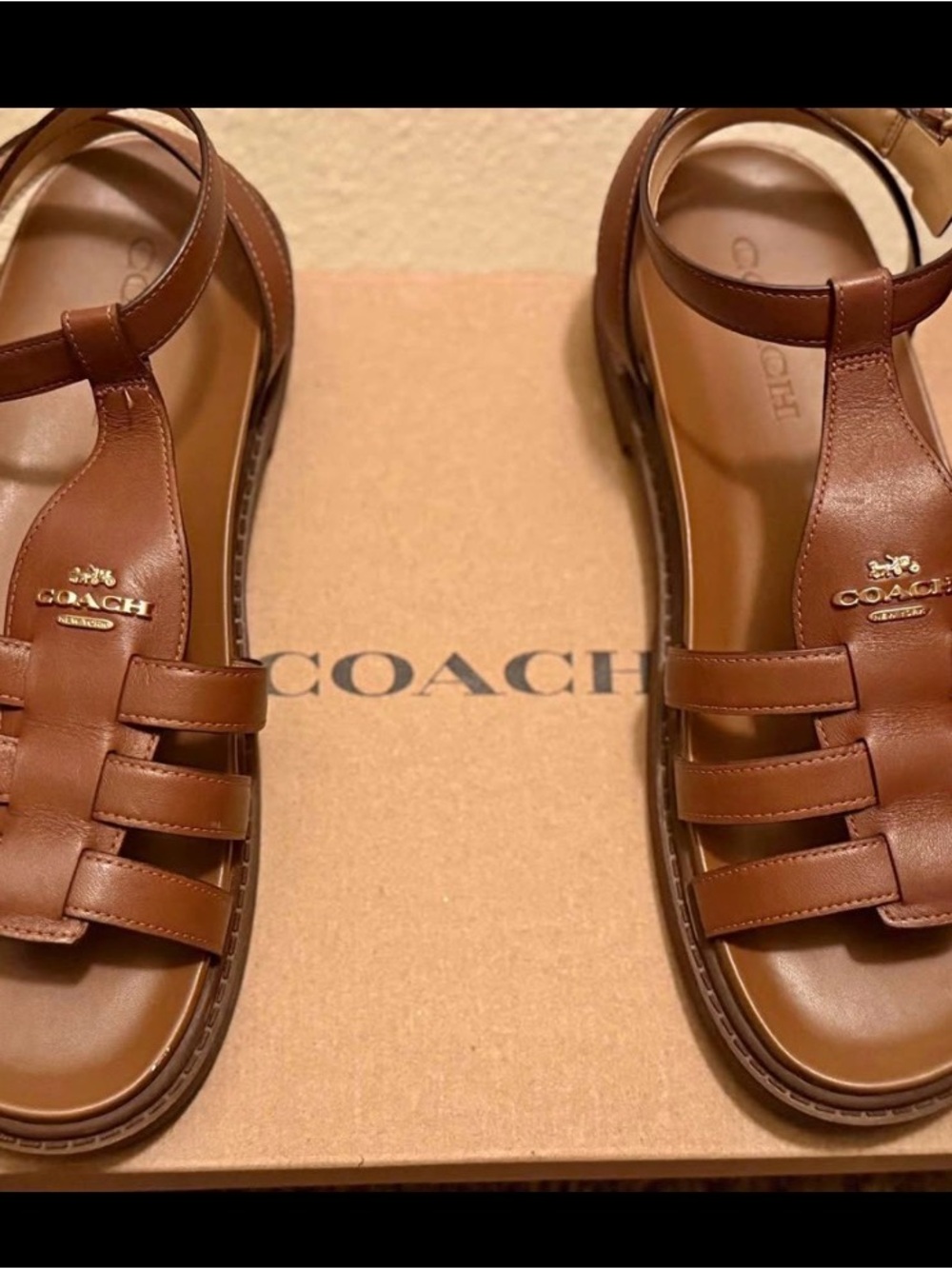Coach Men’s Brown Leather T-Strap Sandals